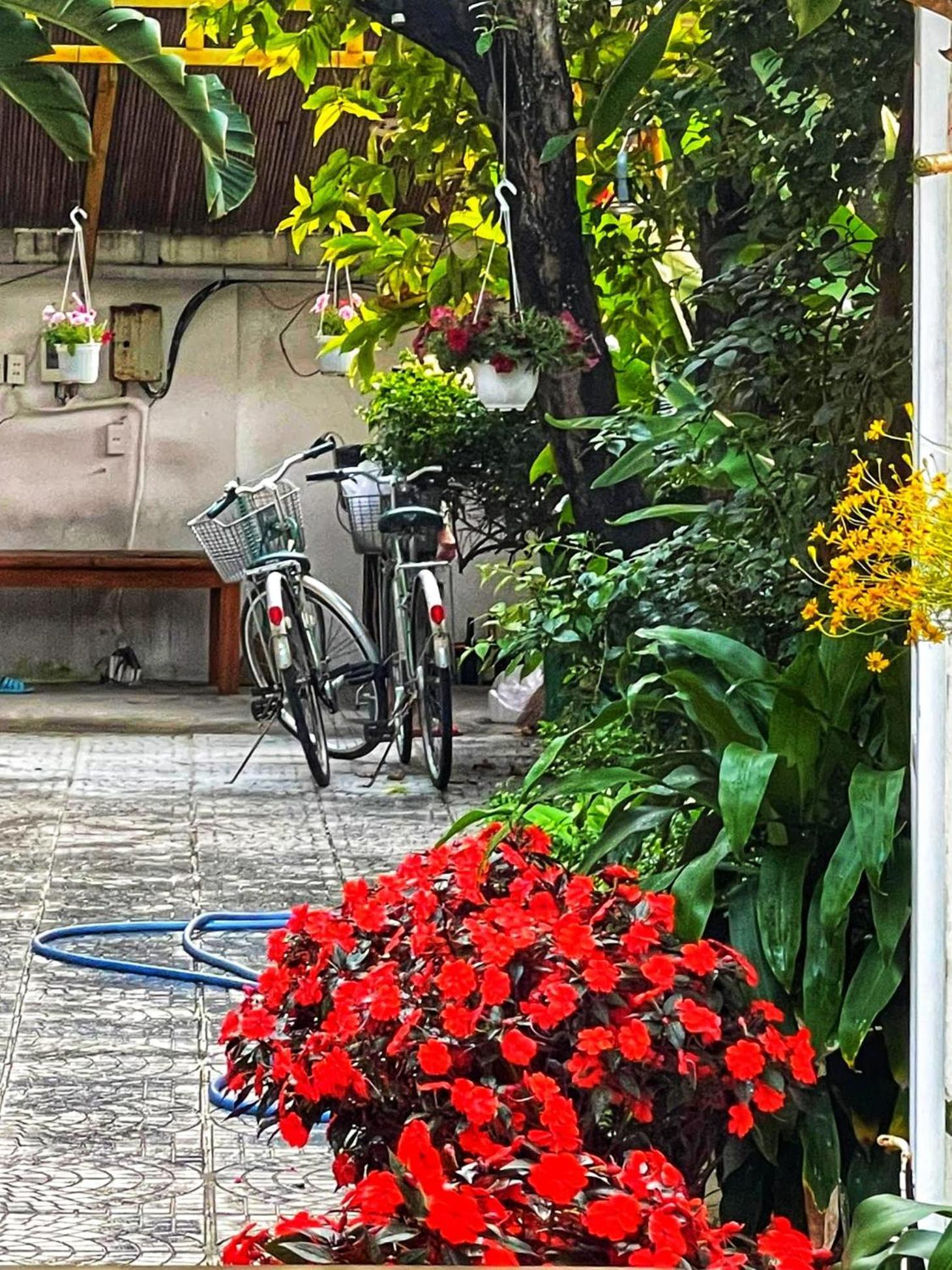 An Bang Gold Coast Beach Villa Hoi An Exterior photo