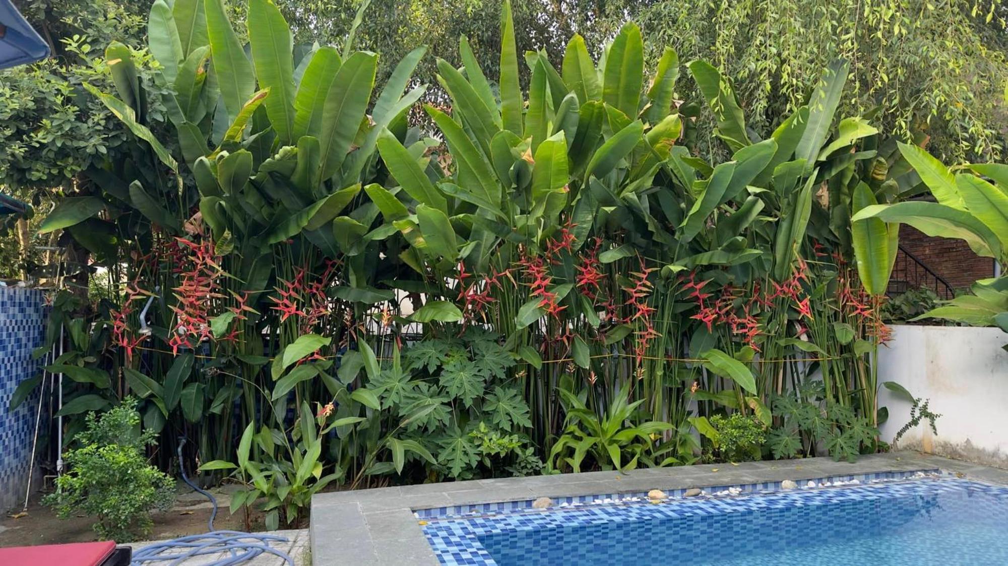 An Bang Gold Coast Beach Villa Hoi An Exterior photo